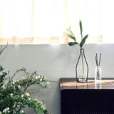 Iron Vases for Plants Shelving Flower Vase Garden Modern Creative Vase for New Year Decor Home Decoration