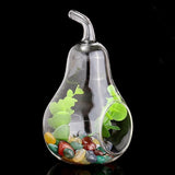 Modern Pear Shape Glass Flower Vase Crystal Planter Hydroponic Terrarium Container Pot Home